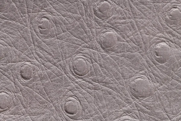 Fondo Cuero Artificial Sintético Gris Con Textura Pulcra Espacio Copia — Foto de Stock