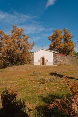 St. Lourenco Kilisesi. Sao Lourenco Kayın Ağacı Fo 'da.