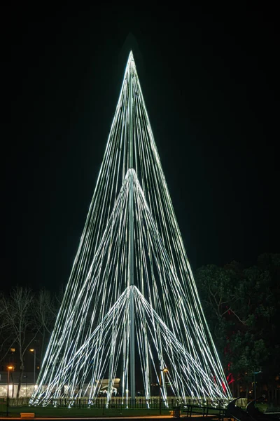 Geceleri Parkta Yılbaşı Ağacı Işıklarla Süslenmiş — Stok fotoğraf