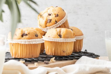 Chocolate chip muffins on a baking rack and glasses of milk on a white kitchen countertop.  Morning breakfast table