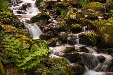 Portekiz 'in Gresso Nehri' ndeki güzel su akıntısı. Uzun süre maruz kalma efekti. Ormandaki yemyeşil yaprakların arasında yeşil suyu olan güzel bir dağ deresi olan manzara. Idyllic yeşil manzarası, dağ ormanı manzarası.