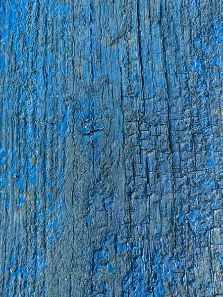 Pared Azul Textura Madera Fondo Madera Colorido Grunge — Foto de Stock