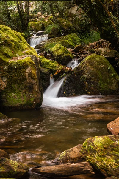 Beautiful water stream in Gresso river Portugal. Long exposure smooth effect. Scenic landscape with beautiful mountain creek with green water among lush foliage in forest. Aveiro