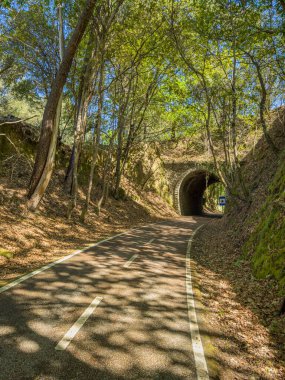 Ecopista 'ya güvenin. Eski demiryolu hattı tekrar eko-raylara dönüştü. Orada yürüyebilir ve bisiklet sürebilirsiniz. Sever do Vouga, Aveiro, Portekiz