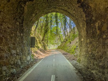Ecopista 'ya güvenin. Eski demiryolu hattı tekrar eko-raylara dönüştü. Orada yürüyebilir ve bisiklet sürebilirsiniz. Sever do Vouga, Aveiro, Portekiz