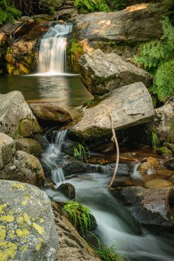 Poco da Cilha Şelalesi, Manhouce, Sao Pedro do Sul, Portekiz 'de güzel bir su akıntısı. Uzun süre maruz kalma efekti. Dağ ormanı manzarası.