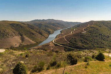 Douro Valley ve nehir Portekiz Pinhao Köyü yakınındaki teraslı üzüm bağları görünümünü. Kavram Portekiz seyahat ve Portekiz en güzel yerleri.