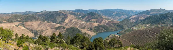 Stock image Viewpoint of Vargelas allows to see a vast landscape on the Douro and its man-made slopes. Douro Region, famous Port Wine Region, Portugal.