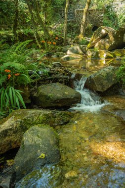 Cabreia 'daki güzel şelale Vouga Aveiro Portekiz