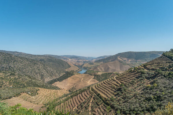 Point of view shot from historic train in Douro region Portugal. Features a wide view of terraced vineyards in Douro Valley Alto Douro Wine Region in northern Portugal officially designated by UNESCO as World Heritage Site.