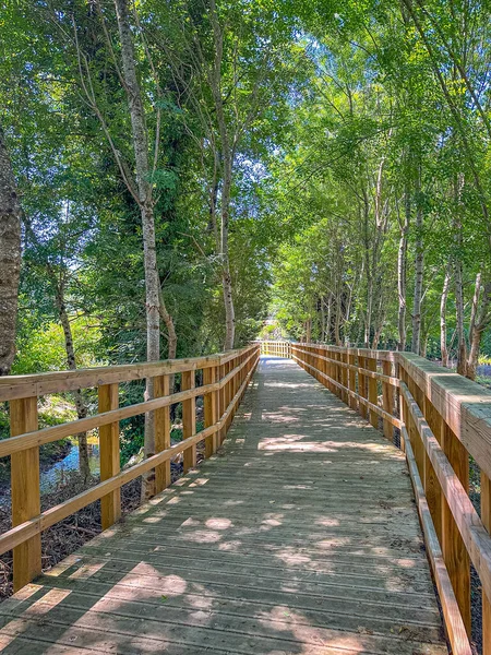 stock image Arda walkways in Arouca municipality, Aveiro - Portugal