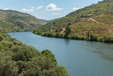 Kuzey Portekiz 'deki Douro Vadisi Alto Douro Şarap Bölgesi' ndeki teraslı üzüm bağları, UNESCO tarafından resmi olarak Dünya Mirası Alanı olarak tanımlanmıştır..
