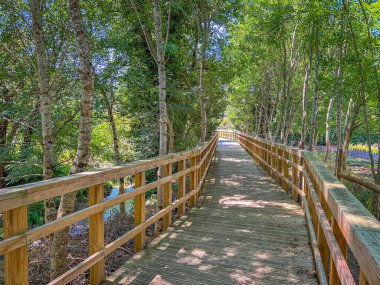 Arouca belediyesindeki Arda geçitleri, Aveiro - Portekiz