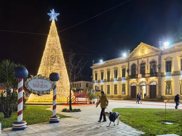 ESTARREJA, PORTUGAL - 10 Aralık 2023 Noel süslemeleri şehir sokaklarında. Natalim Chistmas Pazarı