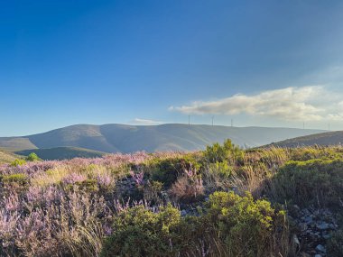 Görüntü Serra da Arada, Sao Pedro do Sul, Portekiz, Portal do Inferno yakınlarında