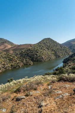 Arnozelo 'nun bakış açısı Douro ve erkek yapımı yamaçlarında geniş bir manzara görmenizi sağlar. Douro bölgesi, ünlü Port Wine Region, Portekiz.