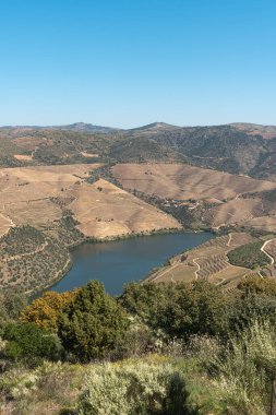 Douro Vadisi, Portekiz. Nehir manzaralı ve üzüm bağları tepelerde..
