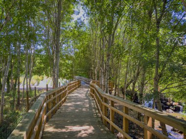Arouca belediyesindeki Arda geçitleri, Aveiro - Portekiz