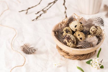 Seramik kasede tüyle süslenmiş bıldırcın yumurtaları. Organik yiyecekler. Kırsal tarzda. Etiketli Paskalya arkaplanı ve kopyalama alanı