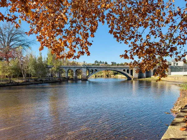 Arka planda Ponte Nova Yeni Köprüsü olan sarı ve kahverengi sonbahar yaprakları. Chaves, Portekiz