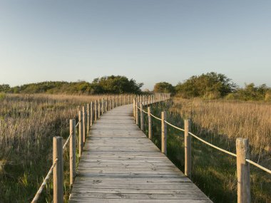 Portekiz 'in Espinho ve Ovar belediyeleri arasında yer alan Esmorizli Barrinha. Natura 2000 Ağı 'nın bir parçasıdır ve IBA (Önemli Kuş Alanı) olarak sınıflandırılmıştır.).