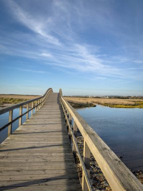 Portekiz 'in Espinho ve Ovar belediyeleri arasında yer alan Esmorizli Barrinha. Natura 2000 Ağı 'nın bir parçasıdır ve IBA (Önemli Kuş Alanı) olarak sınıflandırılmıştır.).