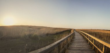 Portekiz 'in Espinho ve Ovar belediyeleri arasında yer alan Esmorizli Barrinha. Natura 2000 Ağı 'nın bir parçasıdır ve IBA (Önemli Kuş Alanı) olarak sınıflandırılmıştır.).