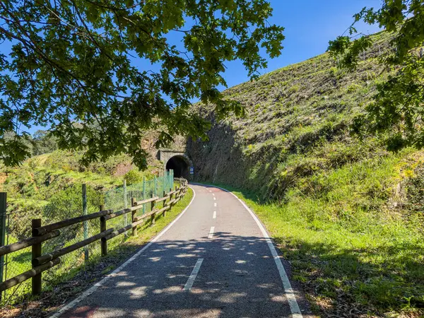 Ecopista 'ya güvenin. Eski demiryolu hattı tekrar eko-raylara dönüştü. Orada yürüyebilir ve bisiklet sürebilirsiniz. Sever do Vouga, Aveiro, Portekiz