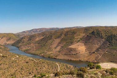 Douro Valley ve nehir Portekiz Pinhao Köyü yakınındaki teraslı üzüm bağları görünümünü. Kavram Portekiz seyahat ve Portekiz en güzel yerleri.