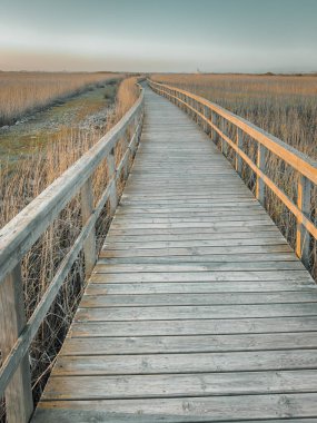 Portekiz 'in Espinho ve Ovar belediyeleri arasında yer alan Esmorizli Walkways Barrinha. Natura 2000 Ağı 'nın bir parçasıdır ve IBA (Önemli Kuş Alanı) olarak sınıflandırılmıştır.).