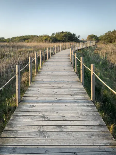 Portekiz 'in Espinho ve Ovar belediyeleri arasında yer alan Esmorizli Walkways Barrinha. Natura 2000 Ağı 'nın bir parçasıdır ve IBA (Önemli Kuş Alanı) olarak sınıflandırılmıştır.).