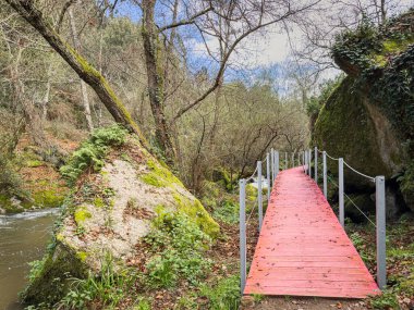 Trilho dos Gaios. Tabua, Coimbra 'daki Cavalos Nehri boyunca yürüme yolları, Portekiz' in merkezi.