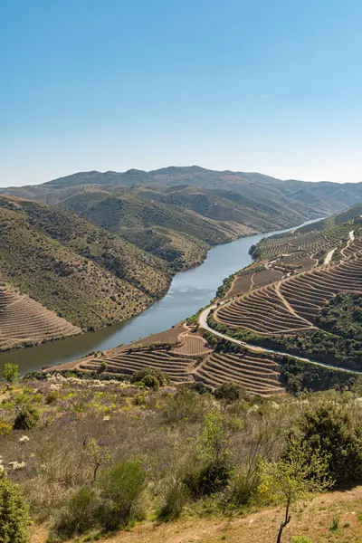 Douro Valley ve nehir Portekiz Pinhao Köyü yakınındaki teraslı üzüm bağları görünümünü. Kavram Portekiz seyahat ve Portekiz en güzel yerleri.
