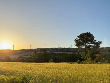 Altın gün batımı, kayalık tepelerin ve yemyeşil yemyeşilliklerin arasına kurulmuş sakin bir köyün üzerine ılık bir ışık saçıyor. Linhares da Beira, Portekiz