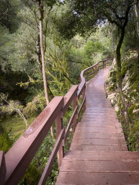 Wooden walkways spanning a mossy gorge connect hiking trails across limestone cliffs in a lush natural setting. Path of the Rio de Mouros in Condeixa, Coimbra Portugal. clipart