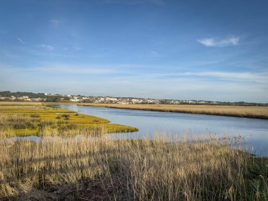 Barrinha of Esmoriz, situated between the municipalities of Espinho and Ovar, Portugal. It is part of the Natura 2000 Network and is classified as an IBA (Important Bird Area). clipart