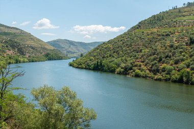 Bağlar, Portekiz. Portekiz, Douro Vadisi boyunca uzanan sarmaşık tepeleri