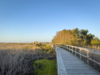 Portekiz 'in Espinho ve Ovar belediyeleri arasında yer alan Esmorizli Walkways Barrinha. Natura 2000 Ağı 'nın bir parçasıdır ve IBA (Önemli Kuş Alanı) olarak sınıflandırılmıştır.).