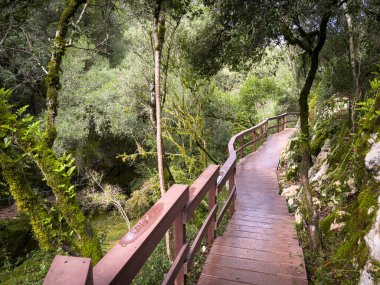 Yosun dolu bir vadide uzanan ahşap geçitler kireçtaşı kayalıkları boyunca doğal ortamdaki yürüyüş yollarını birleştiriyor. Rio de Mouros yolu Condeixa, Coimbra Portekiz.