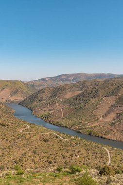 Douro Valley ve nehir Portekiz Pinhao Köyü yakınındaki teraslı üzüm bağları görünümünü. Kavram Portekiz seyahat ve Portekiz en güzel yerleri.