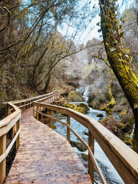 Bereketli bir orman boyunca kıvrılan ahşap yol, yosun kaplı kaya ve ağaçlarla dolu akarsuyun yanında Pindelo, Outeiro, Oliveira de Azemeis, Portekiz 'de sakin ve pitoresk bir doğa sahnesi yaratır.