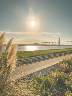 Edgar Cardoso köprüsü, Figueira da Foz 'daki Mondego Nehri üzerinde konteynırları olan liman üzerinde askıya alınmış bir bölüm ve yanında da Portekiz' in yanında bir bisiklet yolu var..