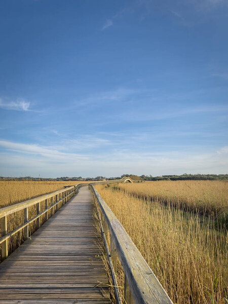 Barrinha of Esmoriz, situated between the municipalities of Espinho and Ovar, Portugal. Является частью сети Natura 2000 и классифицируется как IBA (важная птичья территория).).