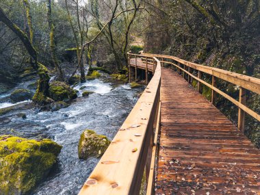 Manzaralı bir orman nehri boyunca tahta kaldırım yosun kaplı kaya ve ağaçlar Pindelo, Outeiro, Oliveira de Azemeis, Portekiz 'de sakin ve pitoresk bir doğa yolu oluşturuyor.