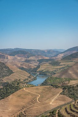 Point of view shot from historic train in Douro region Portugal. Features a wide view of terraced vineyards in Douro Valley Alto Douro Wine Region in northern Portugal officially designated by UNESCO as World Heritage Site.