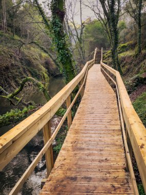 Bereketli bir ormanın içinden geçen ahşap yol, sakin bir derenin üzerinden geçiyor, yosun kaplı ağaçlar ve Pindelo, Outeiro, Oliveira de Azemeis, Portekiz 'de bulunan sakin bir atmosfer.