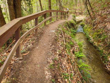 Jugueiros Yolu 'ndan Levadas. Tahta çitli dolambaçlı toprak bir patika dar bir sulama kanalı olan Levada 'ya benzer. Jugueiros, Felgueiras, Portekiz' deki güneşli bir ormanın içinden akar.
