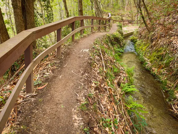 Jugueiros Yolu 'ndan Levadas. Tahta çitli dolambaçlı toprak bir patika dar bir sulama kanalı olan Levada 'ya benzer. Jugueiros, Felgueiras, Portekiz' deki güneşli bir ormanın içinden akar.