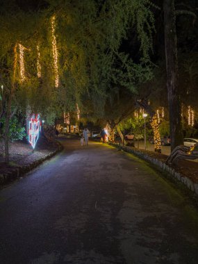 Oliveira de Azemeis, Portekiz - 2 Aralık 2023: Noel ışıklarını izleyen ve Noel sezonu boyunca La Salette parkında çocuklarla eğlenen aileler