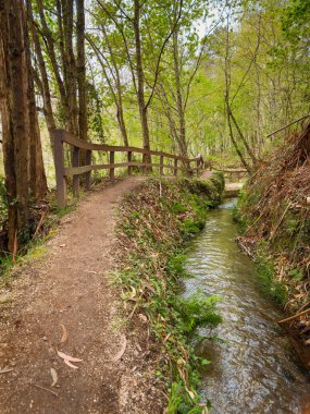 Jugueiros Levada Yolu. Kırsal ahşap korkuluklu toprak bir patika dar bir Levada 'yı takip eder, suyu Jugueiros, Felgueiras, Portekiz' deki parlak yapraklı bir ormandan geçirir.